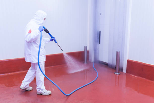 Best Pre-Holiday Cleaning  in Lansdowne, MD