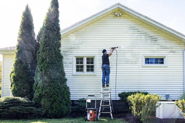 Best Building Exterior Washing  in Lansdowne, MD